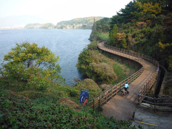 Bike Rental Korea 4 Rivers Path information